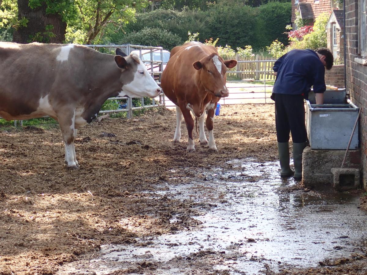 “believe in yourself and&nbsp;conquer”